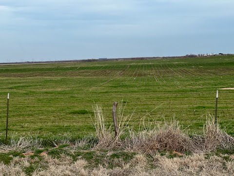Kenneth McAlister’s family farmland in Electra, Texas. McAlister, a fourth-generation farmer, is dealing with myriad challenges finding and paying for health insurance.