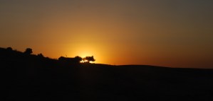 The sun sets behind a rural home in California's San Joaquin Valley.