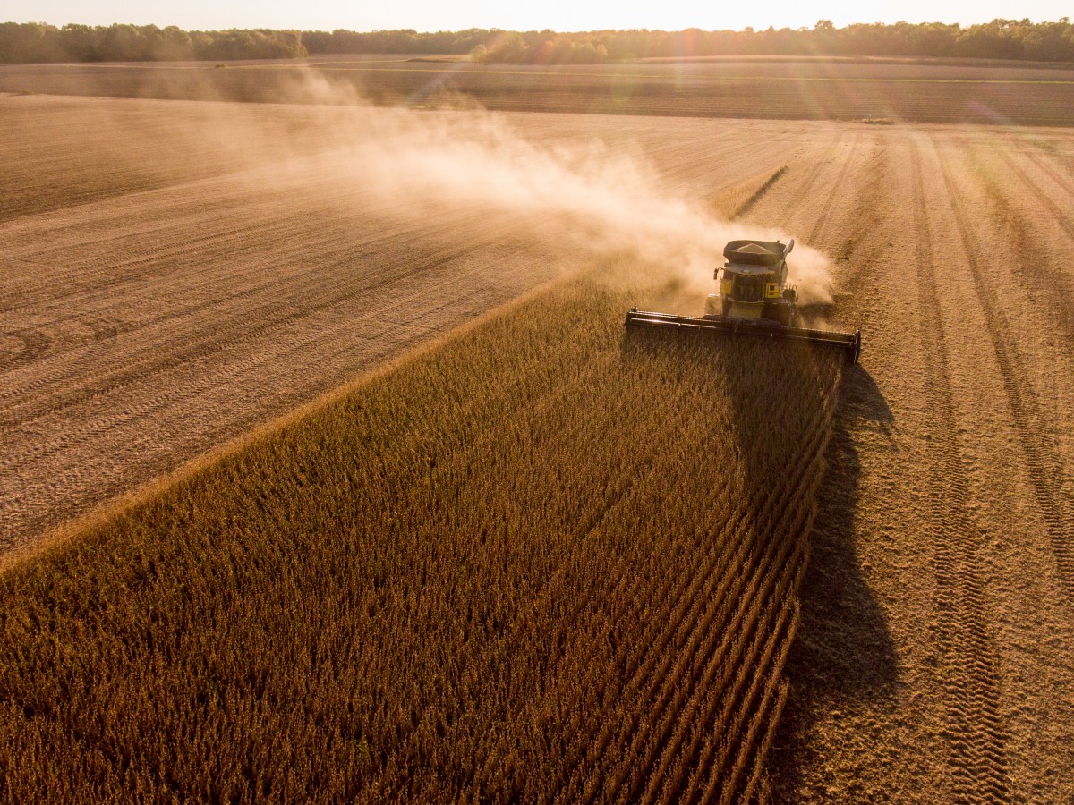 Increase in Climate-Related Flooding Threatens Food Crops