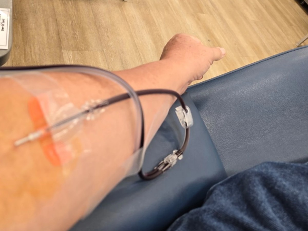 Blood Work: I Sold My Plasma in America’s Cash-for-Plasma System