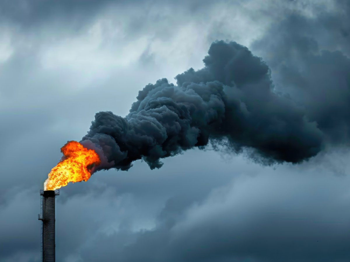 Five Commercial Product Areas Account for a Third of Global Deaths