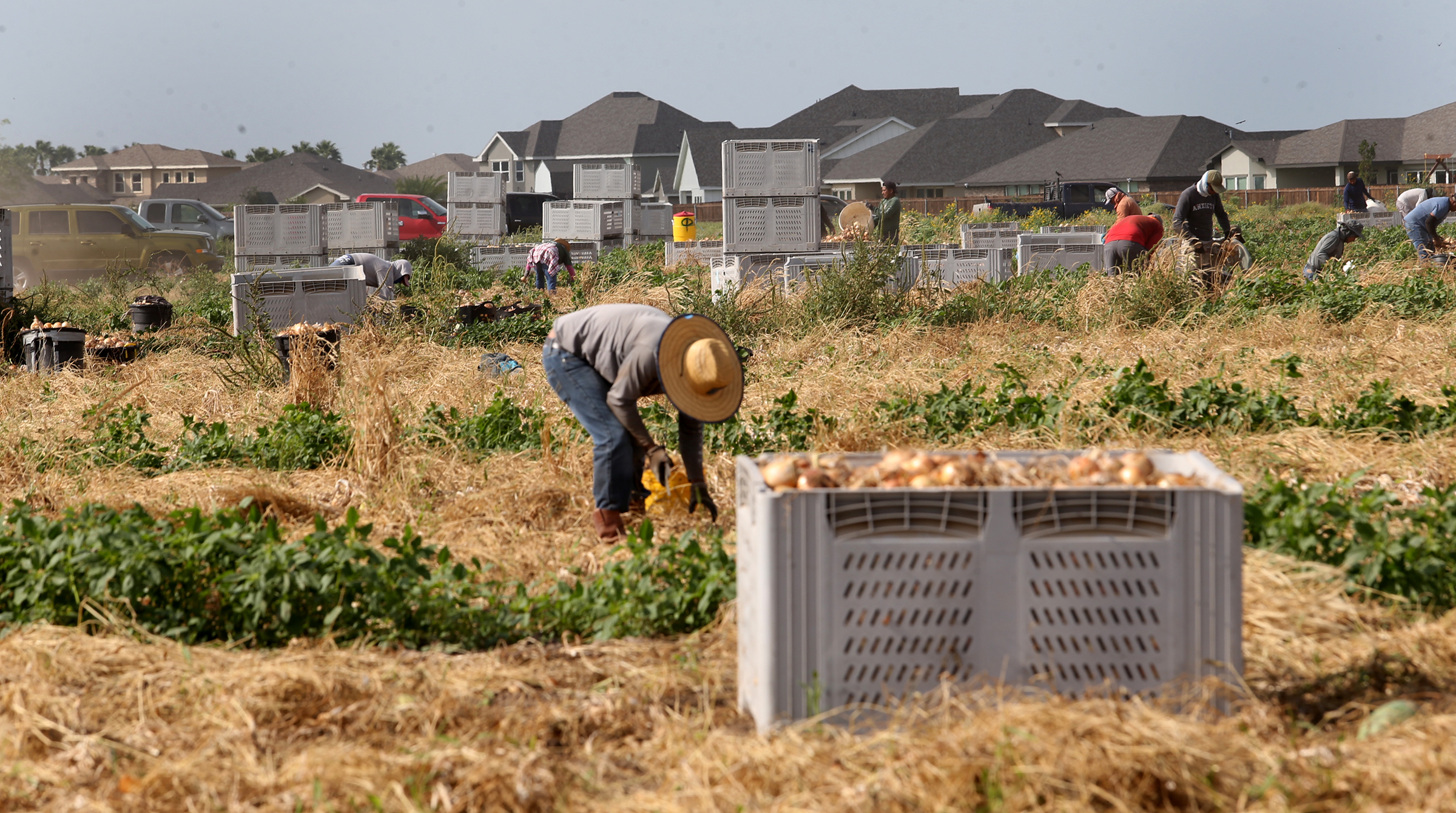 Parkinson’s concerns across farm communities in Texas