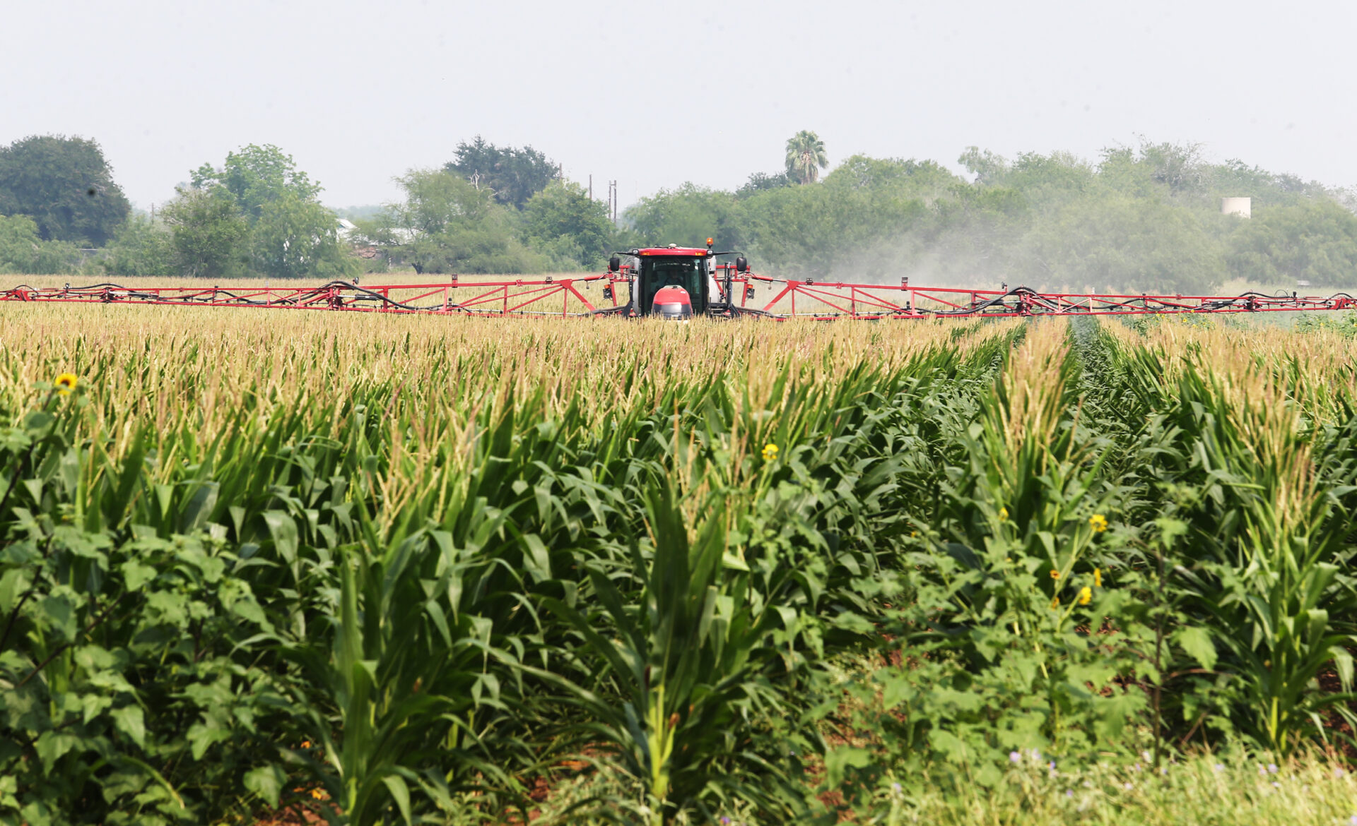 Editorial: Officials, ag industry need to weigh convenience&hellip;