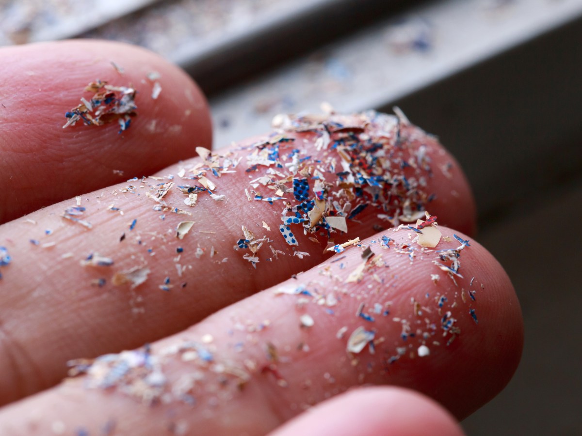 Microplastics Linked to Fatty Liver Disease